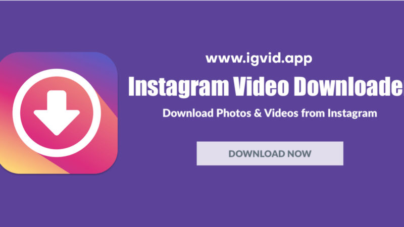 Instagram Video Downloader Apk