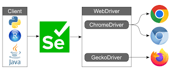 ChromeDriver